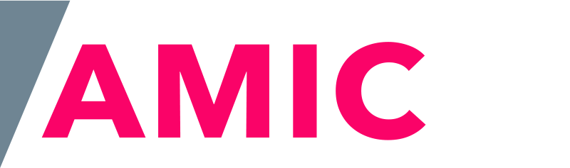 36 Encuentro AMIC