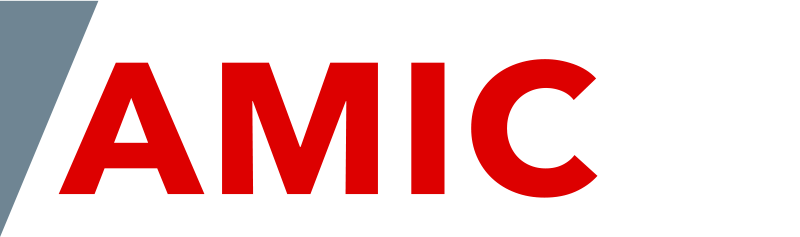 36 Encuentro AMIC