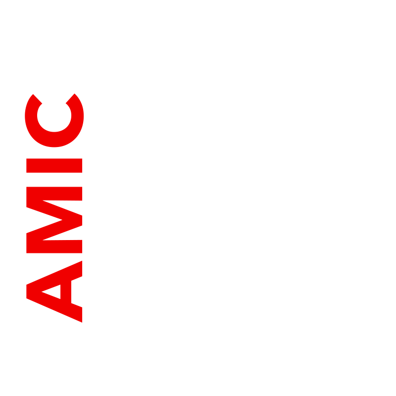 36 Encuentro AMIC